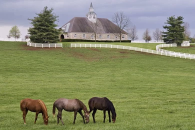 Gallery For Free Farm Wallpapers Desktop