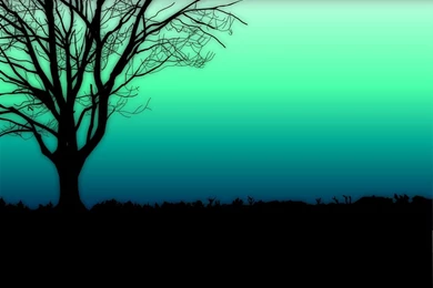 Model 12 Peace Sign Wallpapers Hd