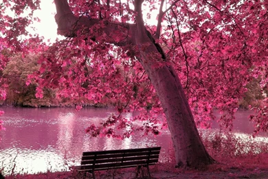 HD Spring Wallpapers For Desktop