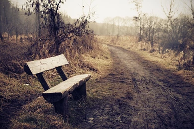 Gallery For Be Bench Wallpapers