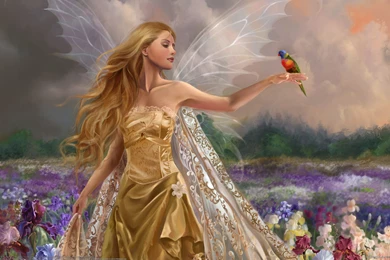 Download Best Beautiful Angel HD Wallpapers   Free WordPress Plugins