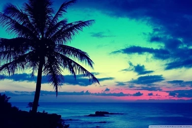 Tropical Sunrise HD Desktop Wallpapers : High Definition ...