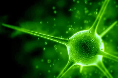 Green Wallpapers HD Download