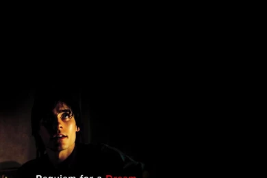 Harry   Requiem For A Dream Wallpapers (556633)   Fanpop