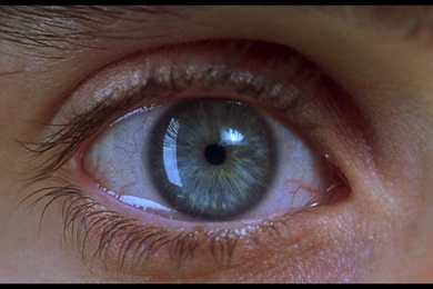 Movies books writers comics: REQUIEM FOR A DREAM