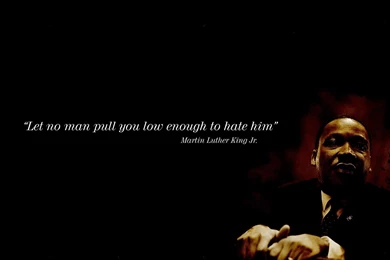 Cold Kiwi...: January 2011