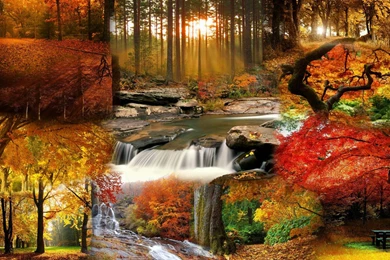 Fall Landscape Wallpapers