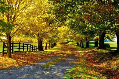 Autumn Landscape Wallpapers