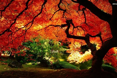 Autumn Landscape Wallpapers   Nature Wallpapers