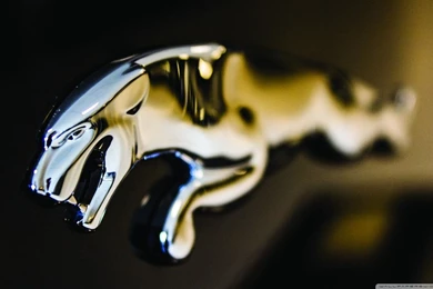 Jaguar Logo Close up HD Desktop Wallpapers : Widescreen : High ...