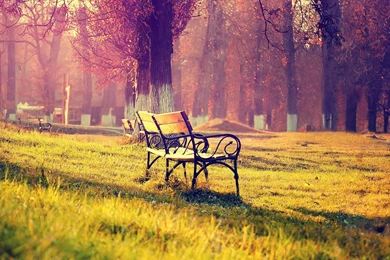 Autumn Landscape Wallpapers