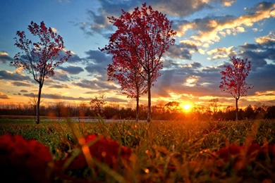 Landscape Sunset Autumn Wallpapers