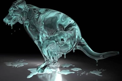 3D Animal Backgrounds Wallpapers