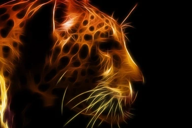 1st Wallpapers — Abstract Leopard Wallpapers Free Abstract Leopard...