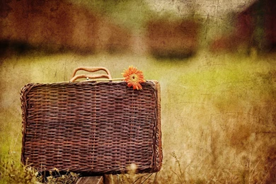 Knitted Vintage Suitcase Wallpapers 27913