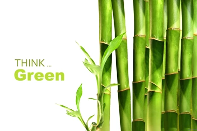 Bamboo – Windows 10 Wallpapers