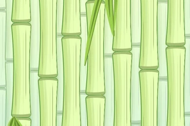 Gallery For   Bamboo Band Wallpapers