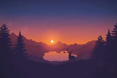 Deer Overlooking A Lake At Sunset Wallpapers — WppShack.com