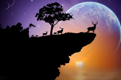 Deer Herd On A Cliff Wallpapers   Digital Art Wallpapers