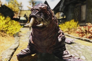 WALRUS By L0vablepandas On DeviantArt