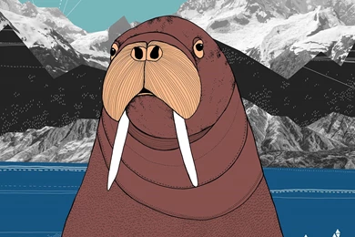 Download IPhones 6s Wallpapers For Free