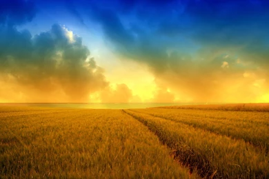 Summer 2015 Wallpapers