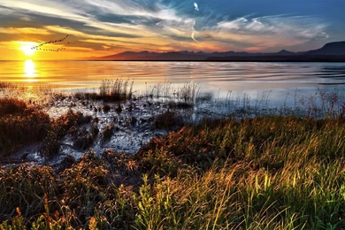 Vibrant Lake Landscape Wallpapers   HD Wallpapers