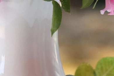 Full HD Rose Bouquet Flowers Wallpapers For iPhone 6 750x1334 ...