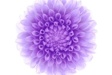 Apple iPhone 6 Wallpapers And HD Backgrounds