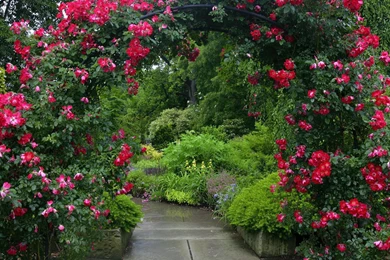 Gallery For   Garden Desktop Wallpapers