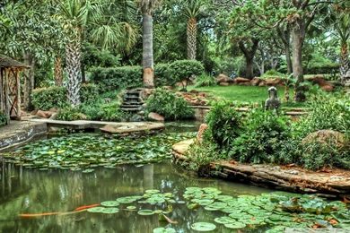 Garden HDR HD Desktop Wallpapers : Widescreen : High Definition ...