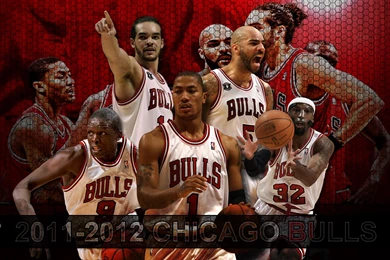 Chicago Bulls Backgrounds