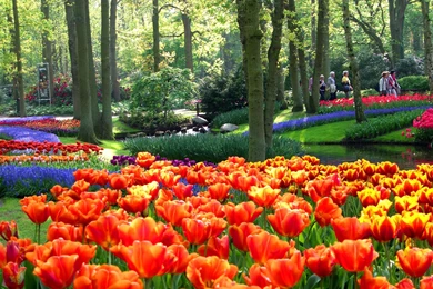 Gardens Wallpapers Desktop Backgrounds 10 Inspiring Design ...