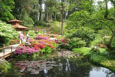 Gallery For   Garden Desktop Wallpapers