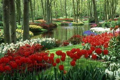 Beautiful Nature Flowers Garden Widescreen 2 Hd Wallpapers