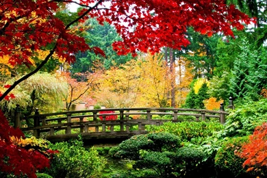 Asian Garden   Desktop Wallpapers