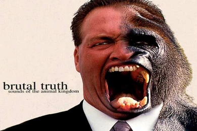 BRUTAL TRUTH   BANDSWALLPAPERS