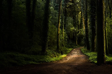 Serra De Sintra, Portugal Widescreen Wallpapers