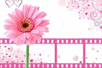 Top Cool Pink Backgrounds Girl Images For Pinterest