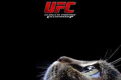 UFC: Top 5 Fight Cards To Watch In 2016