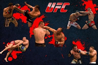 UFC Wallpapers By PMat26oo On DeviantArt