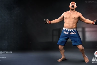 Gallery For   Chuck Liddell Wallpapers