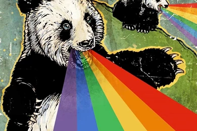 167 Bear HD Wallpapers