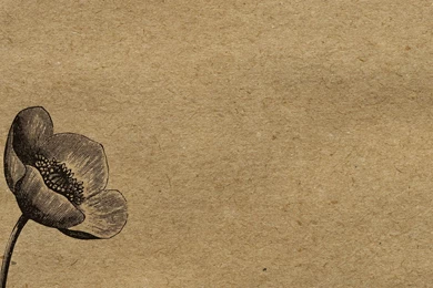 June12 1680x1050.jpg