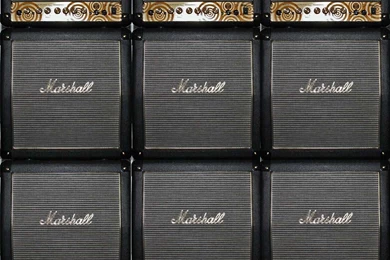 MG15MSll Zakk Wylde Limited Editions   Marshall Amp Gallery