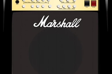 Marshall Amp By Night Bird Flying On DeviantArt