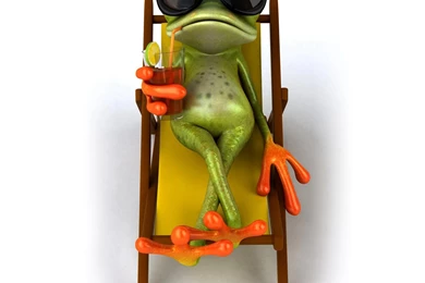 RELAXING FROG WALLPAPER   (
