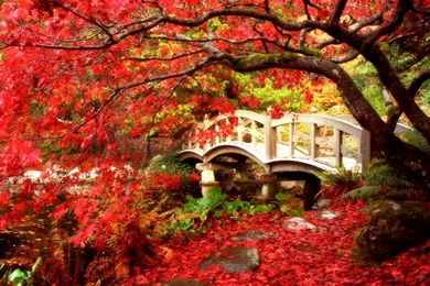 Selecting The Fall Landscape Wallpapers For Our Computer Screen ...