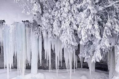 Free Winter Wallpapers