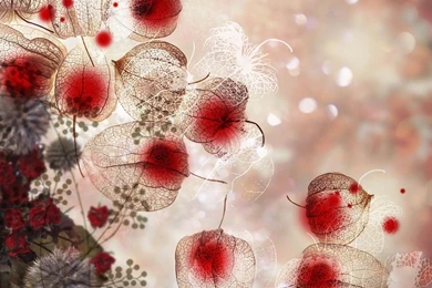 Free Wallpapers   Free Nature Wallpapers   Cg Seasons Autumn Winter ...